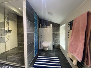 Shower, hair dryer, towels, soap - Le Margeriaz (Saint-Étienne)