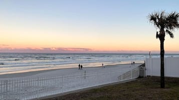 A beach with a white fence, a palm tree, and people walking along the shore.