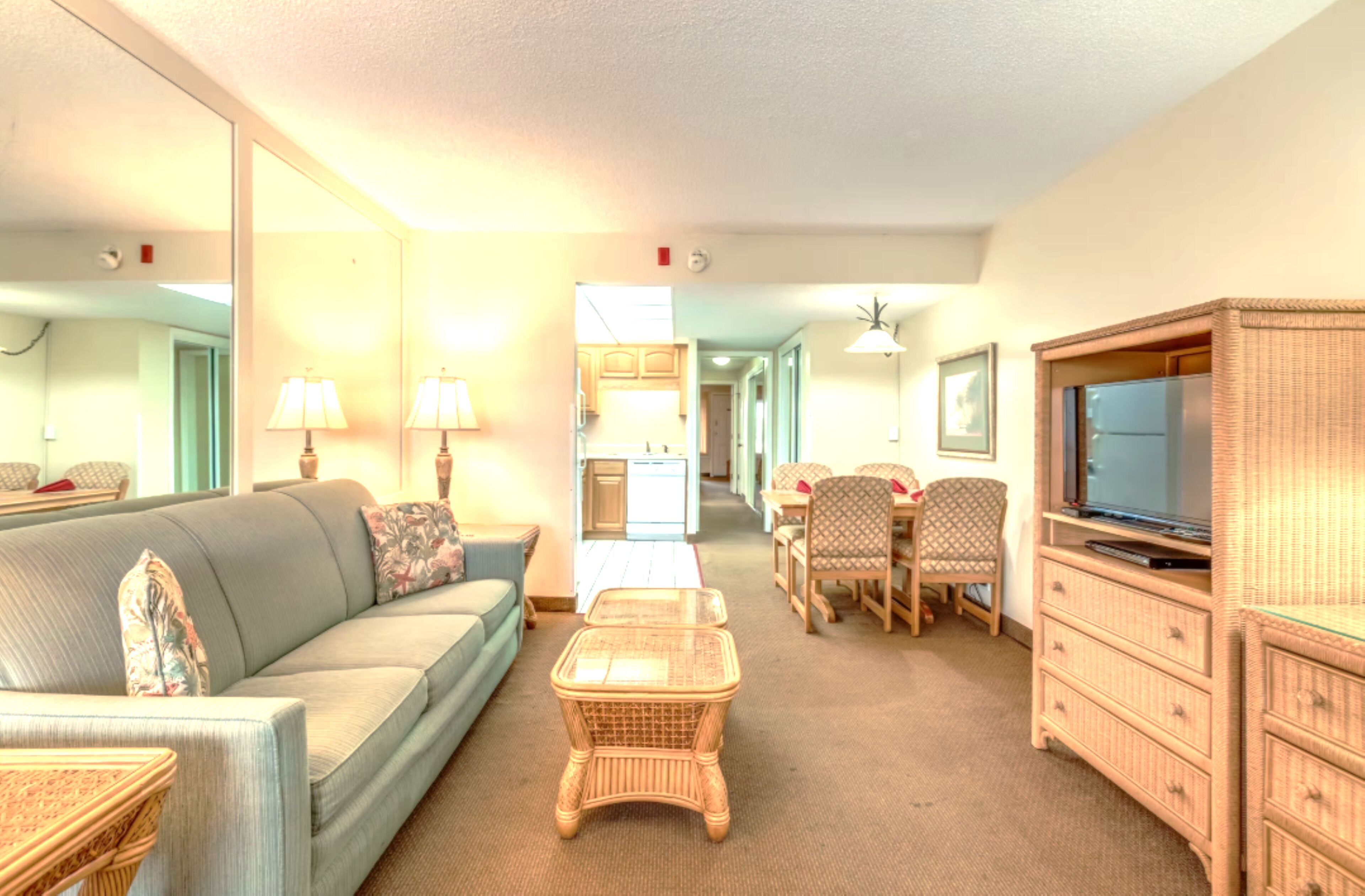 平面電視、DVD 播放機