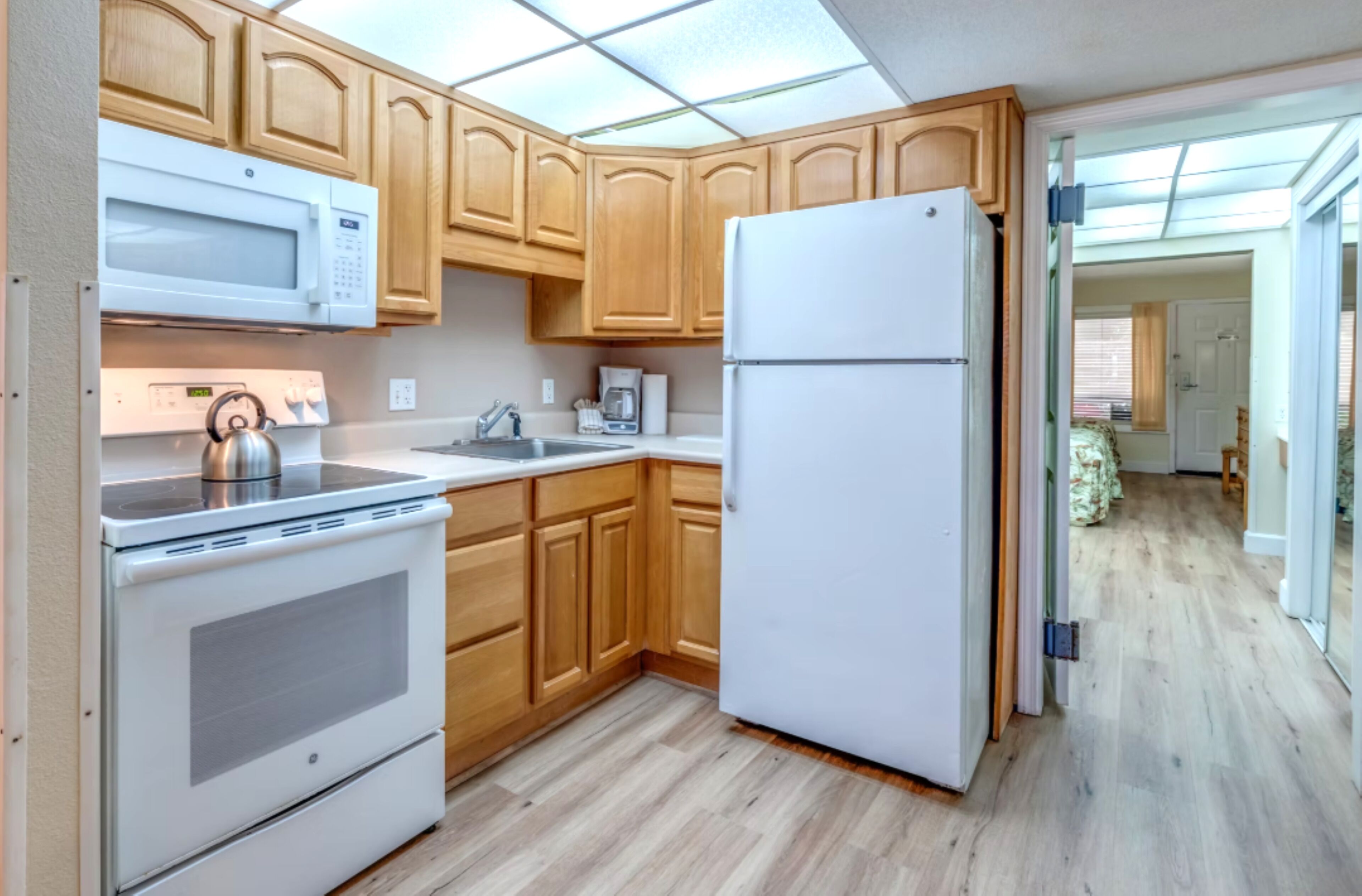 大型雪櫃/冰箱、微波爐、焗爐、爐具