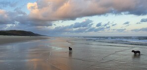 On the beach
