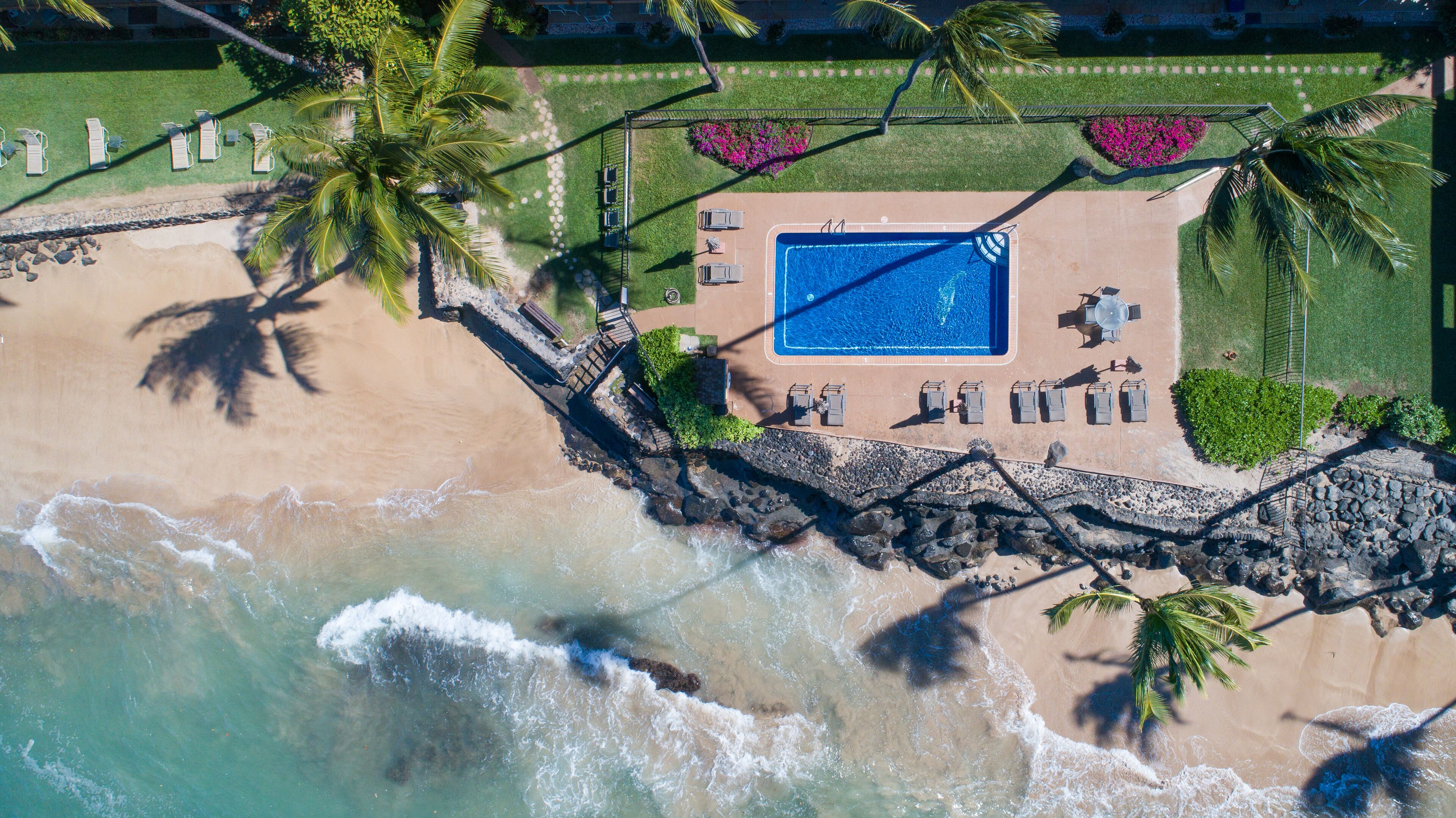 An aerial view of a beach resort with a swimming pool, lounge chairs, and palm trees.