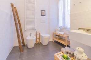 Shower, hair dryer, bidet, towels