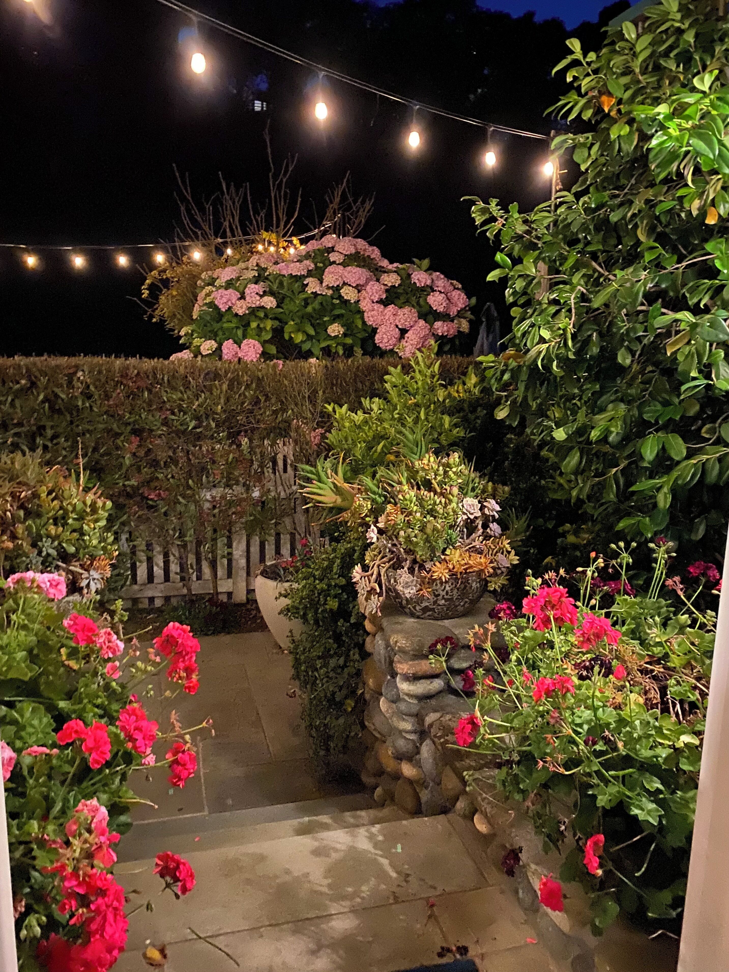 Patio at night