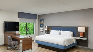 A hotel room with a bed, desk, chair, TV, and artwork on the walls.