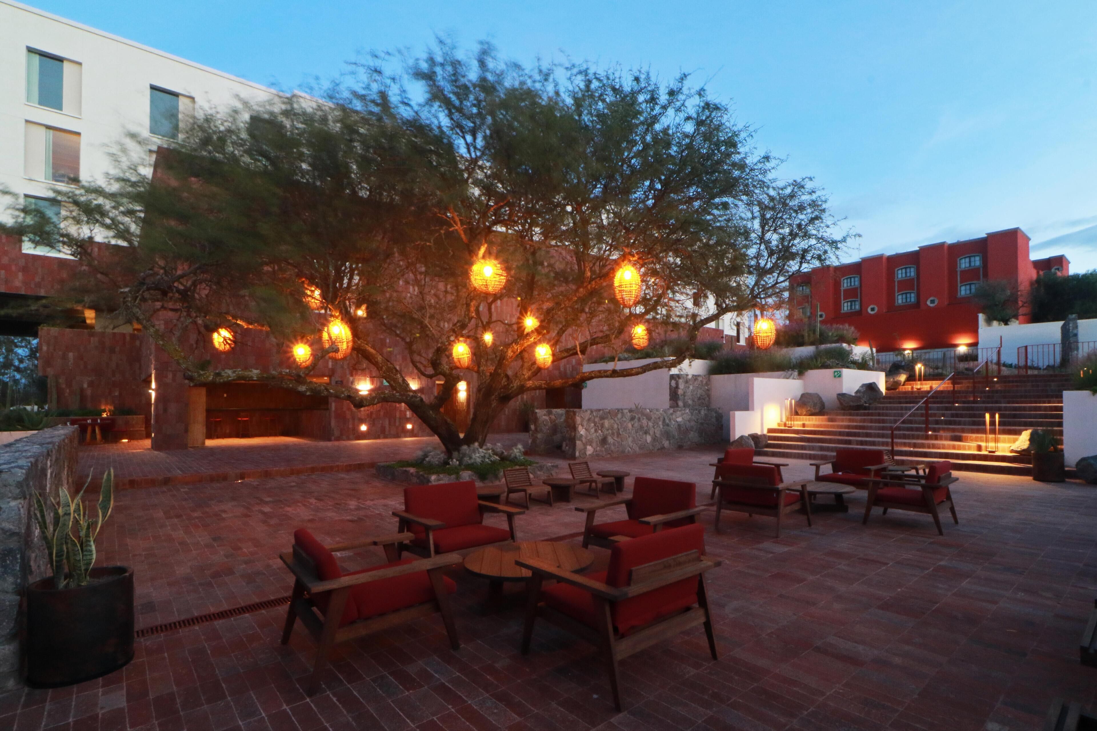 Terraza o patio