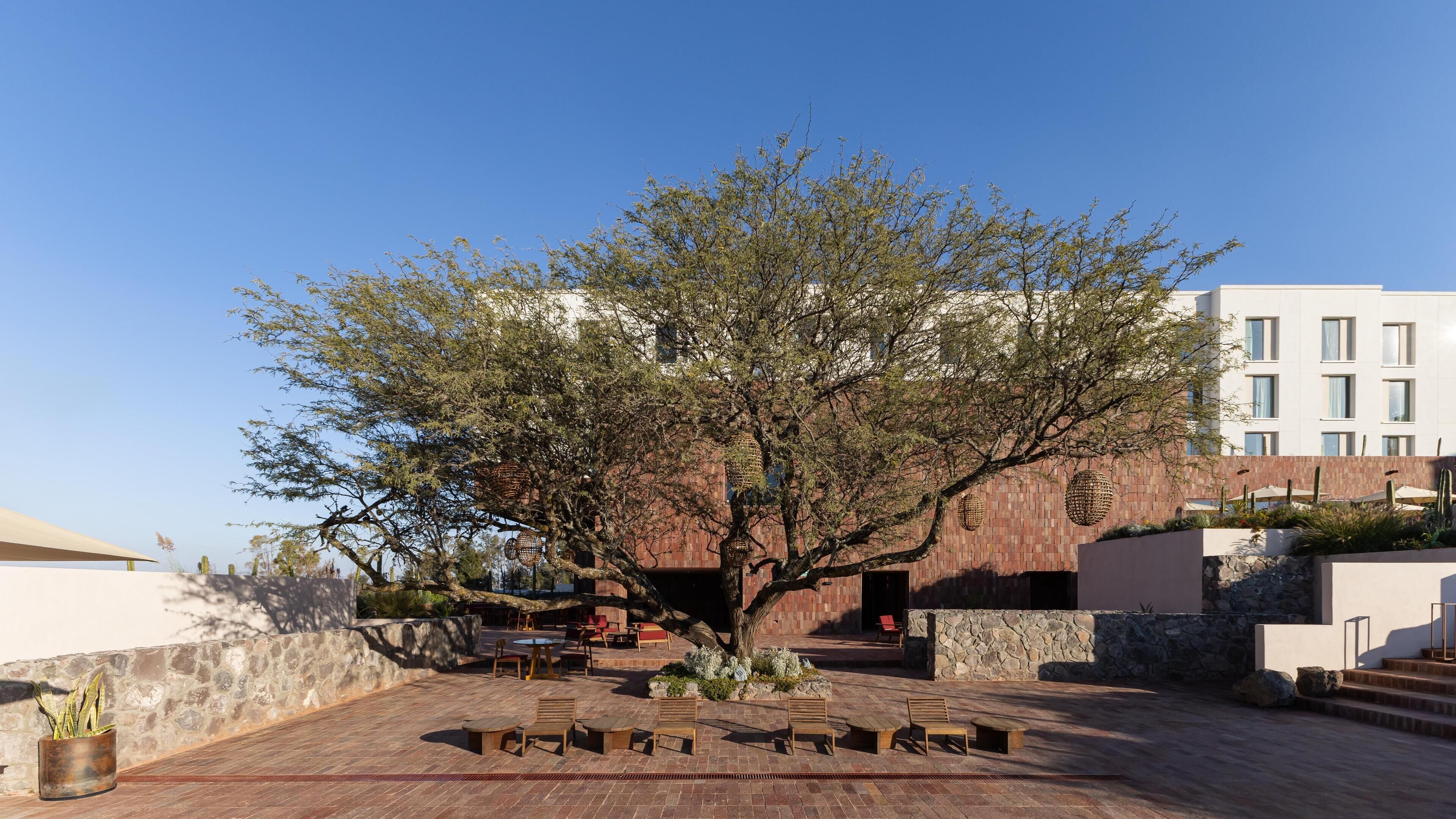 A courtyard with a large tree, outdoor seating, and a building in the background.