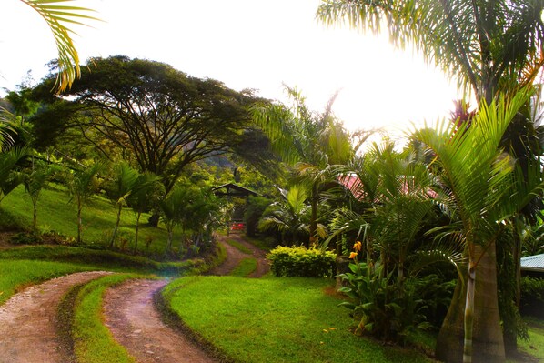 Overnattingsstedets uteområder