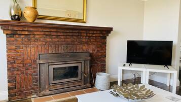 Smart TV, chimenea y reproductor de DVD