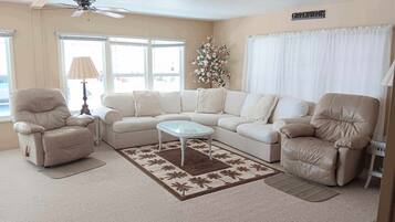 TV, table tennis, books, music library