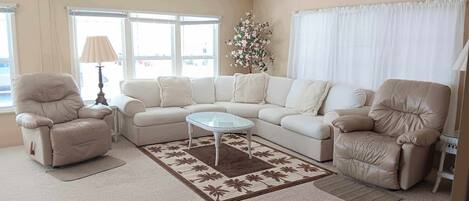 TV, tavolo da ping pong, libri, biblioteca musicale