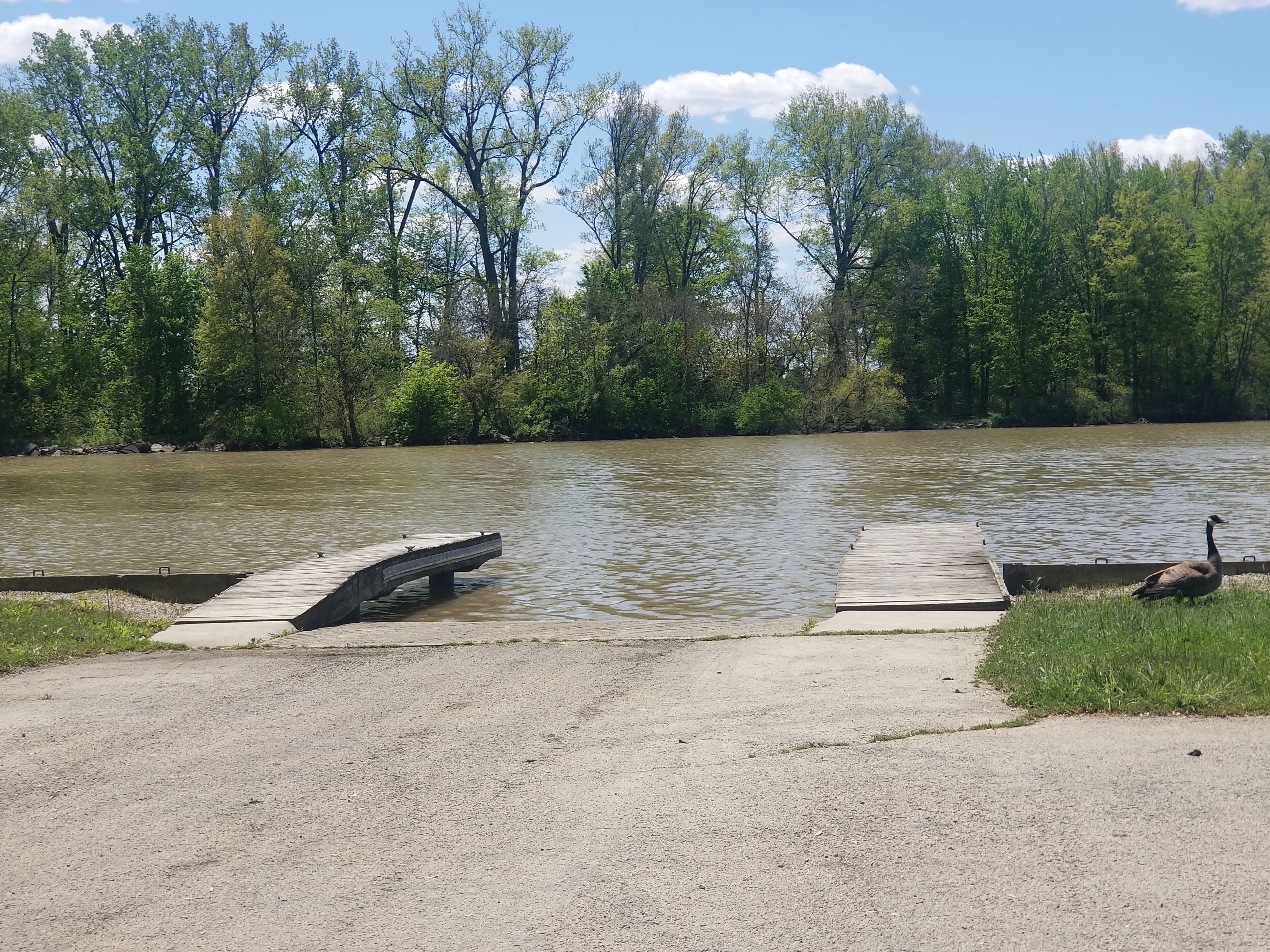 A concrete dock extending into a calm river, surrounded by lush greenery and trees.