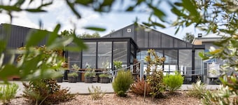 Glamping in an Olive Grove