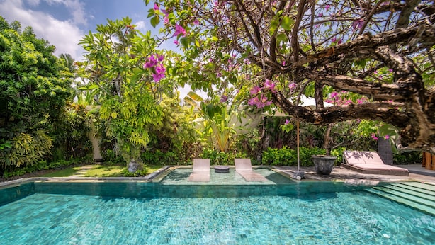 A clear swimming pool with lounge chairs and a tree with pink flowers. - Elegant Private Villa, 3 BR, Seminyak With Staff (Keroboken Kelod)