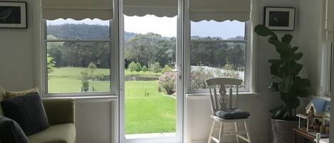 Télévision, cheminée, lecteur de DVD, livres