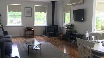 TV, fireplace, DVD player, books