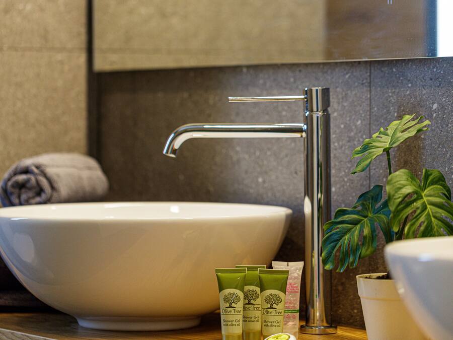 A bathroom with a large white sink, a modern faucet, and a potted plant.