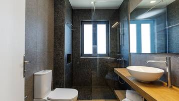 A modern bathroom with a large sink, a toilet, and a shower area.