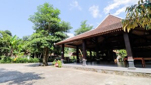 未分類圖片，第 2 張 (共 74 張)，按鈕