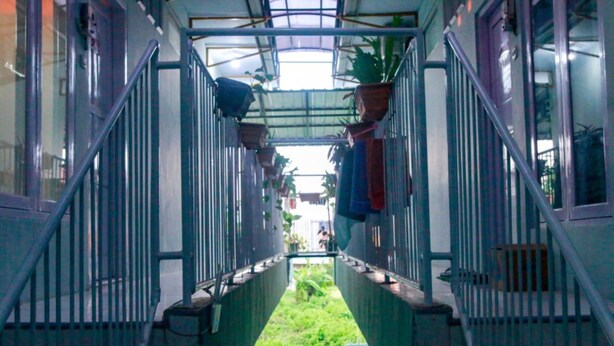 A narrow corridor with metal railings, potted plants, and a view of a green outdoor area. - Kozi Kost Paviliun (Tegal)