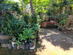ที่จอดรถฟรี