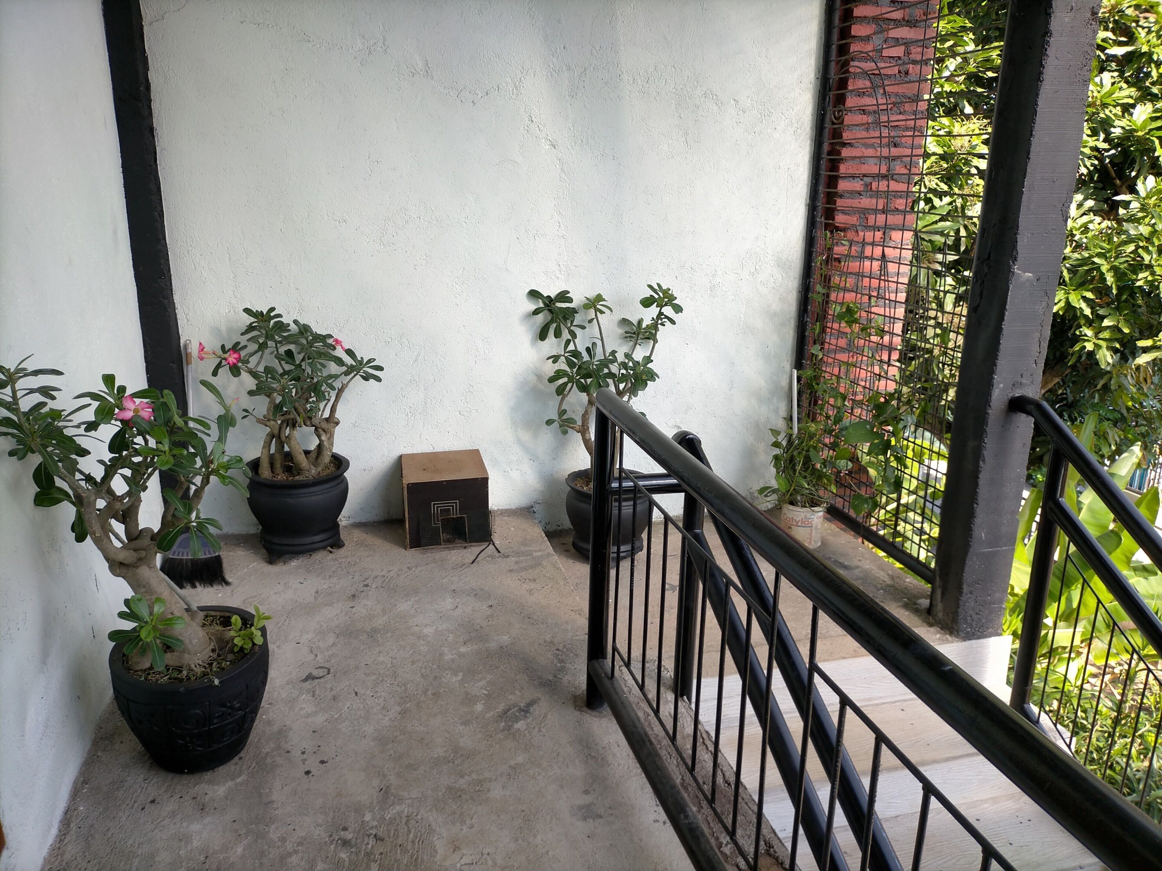 Een betonnen trap met zwarte leuningen leidt naar een balkon. Op het balkon staan potplanten, waaronder een grote met roze bloemen en enkele kleinere.