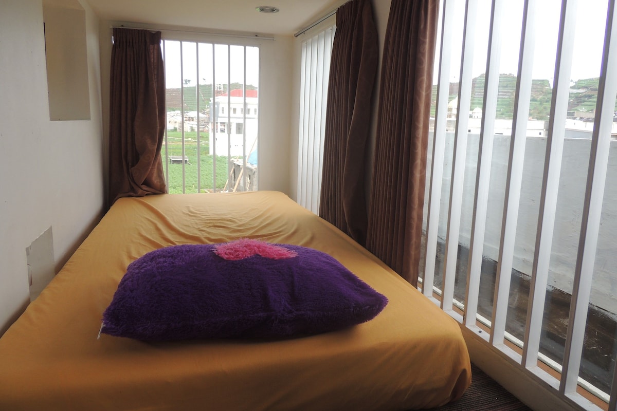 A single bed with a yellow mattress and a purple pillow, a window with curtains, and a view of buildings and greenery outside.