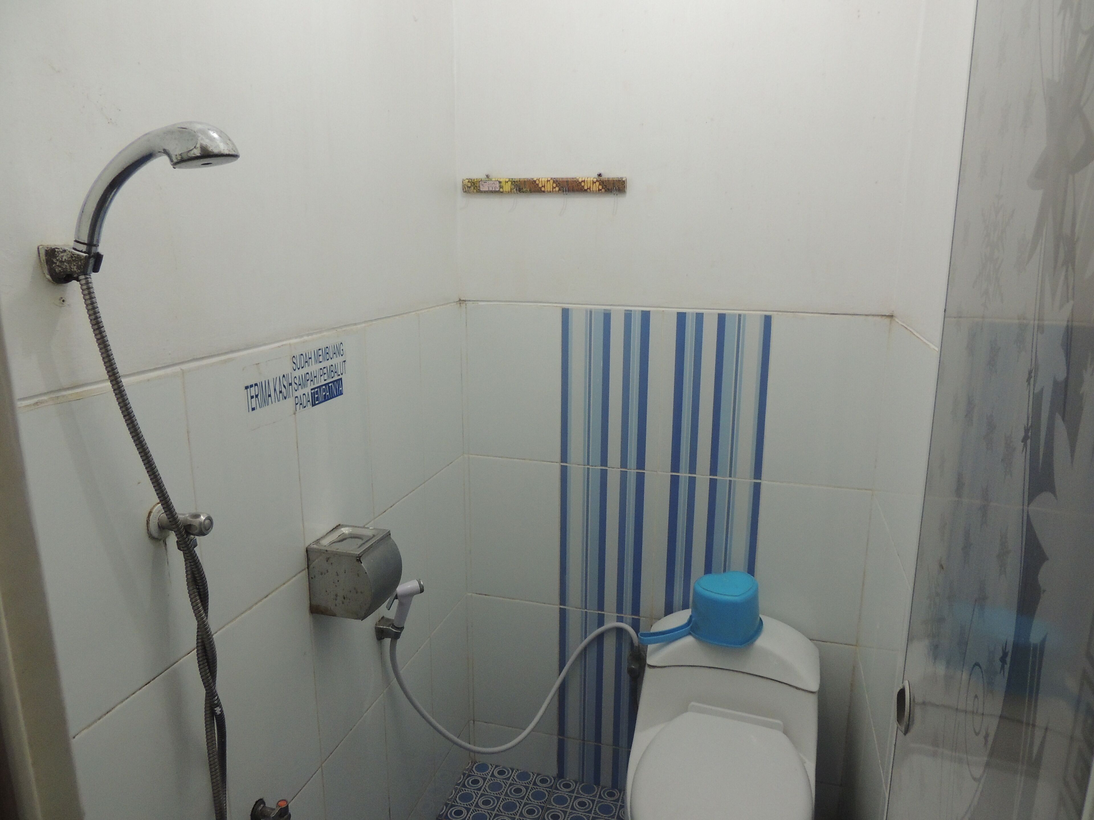Un baño pequeño con ducha, inodoro y un perchero para toallas.