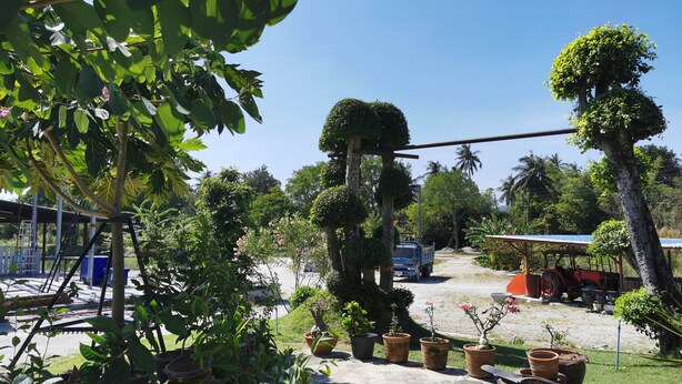 A garden with potted plants and a clear sky. - Viman Resort (Si Racha)