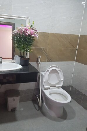 Shower, free toiletries, hair dryer, slippers