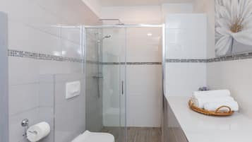 Estudio (Studio with Terrace and City View) | Baño | Ducha