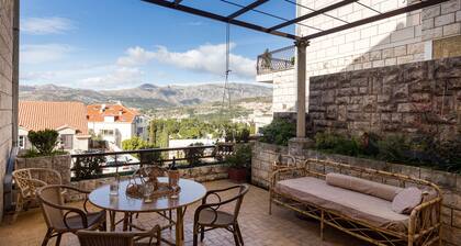 Big Terrace Apartment