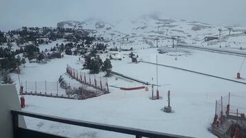 Sneeuw- en skisporten