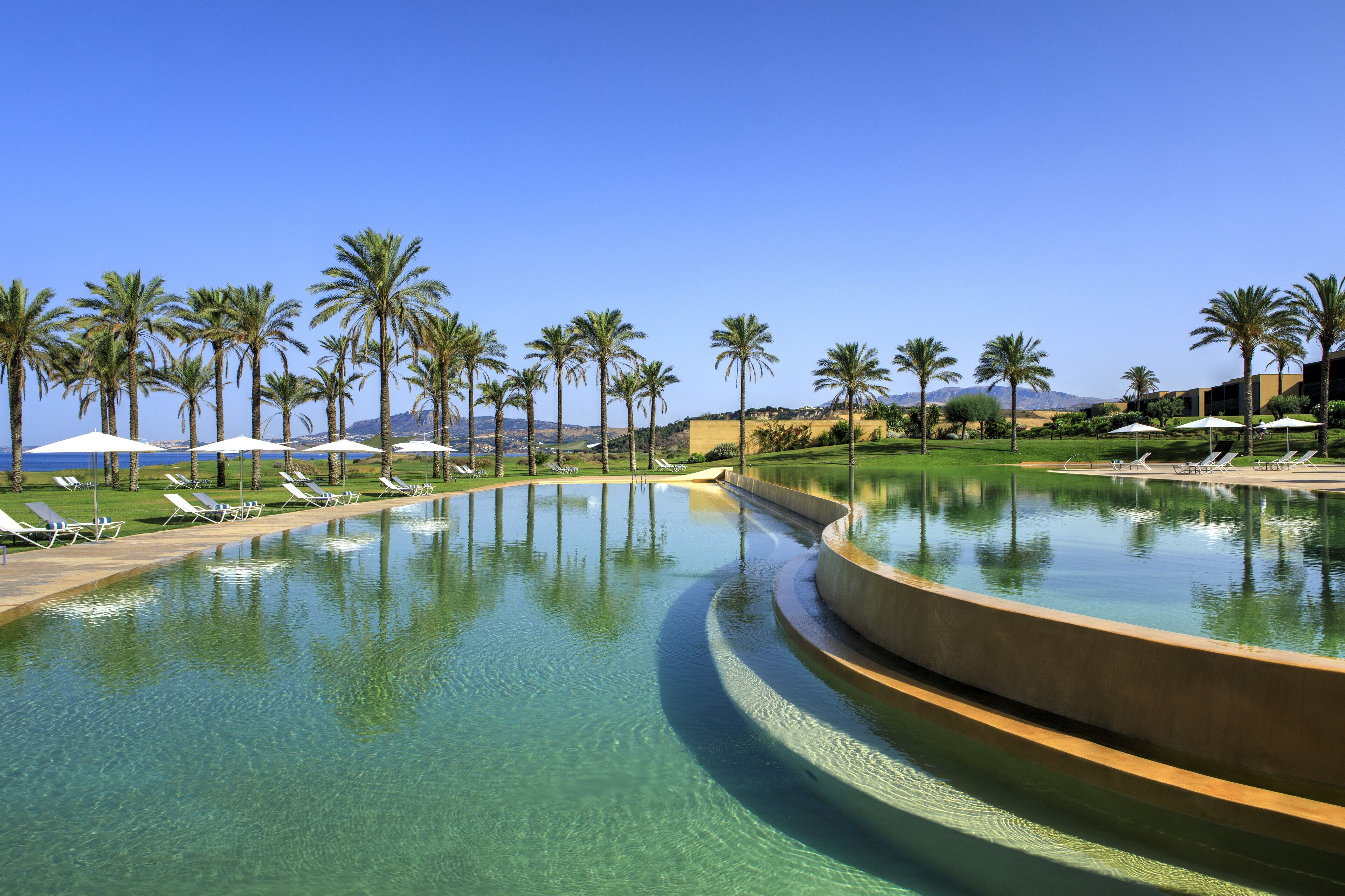 A pool with clear water, surrounded by palm trees and lounge chairs.