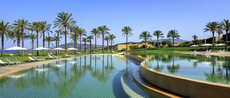 A pool with clear water, surrounded by palm trees and lounge chairs.