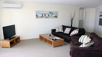 Télévision, lecteur de DVD