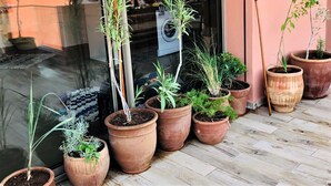 Pflanzen in Töpfen auf einer Holzdielenveranda vor einem Gebäude.