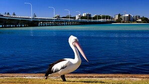 Fitness facility - Parkside Marina 1 - CBD Location (Forster)