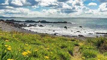 A coastal landscape with rocky shores, green vegetation, and a clear sky.