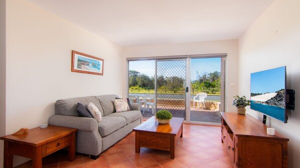 Télévision, Netflix, lecteur de DVD, services de streaming