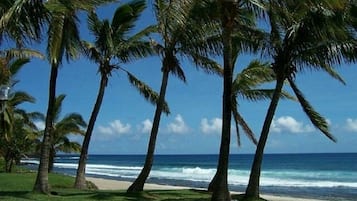 Plage à proximité