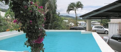 A swimming pool with a stone border, surrounded by greenery and a covered area with parked cars.