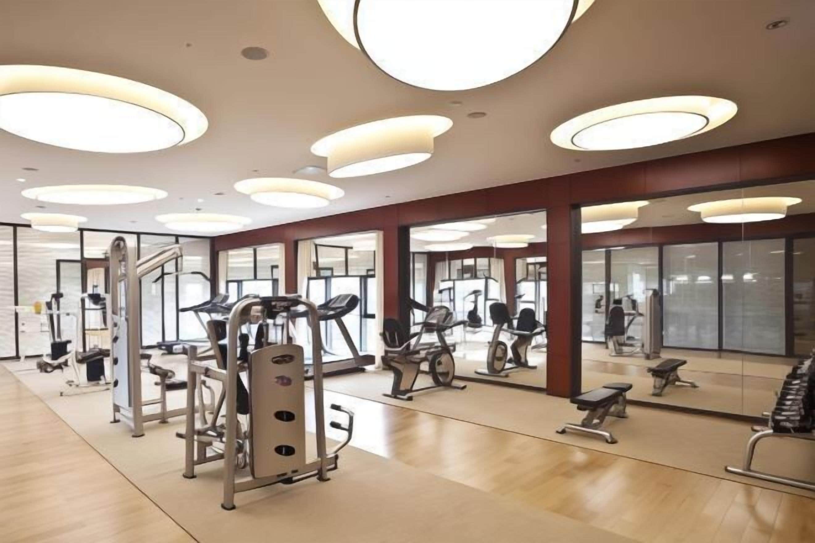 Gimnasio