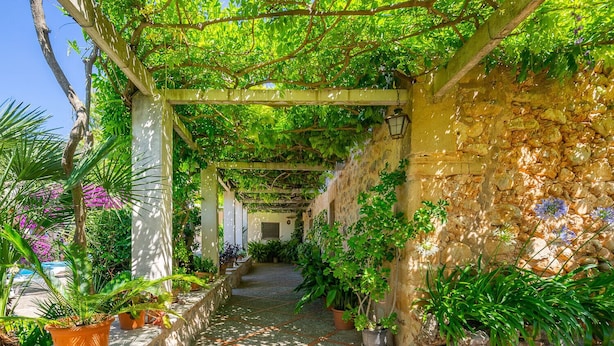 A covered garden path with potted plants and a stone wall. - Pollensa walking distance traditional villa Miquel (Pollensa / Pollença)