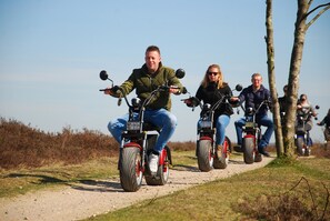 Fitness facility - Chalet Op De Veluwe # Linde (Putten)