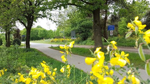 Chalet Op De Veluwe # Linde