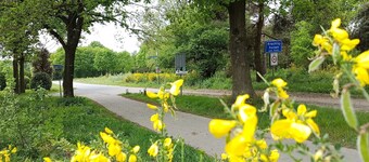 Chalet Op De Veluwe # Linde