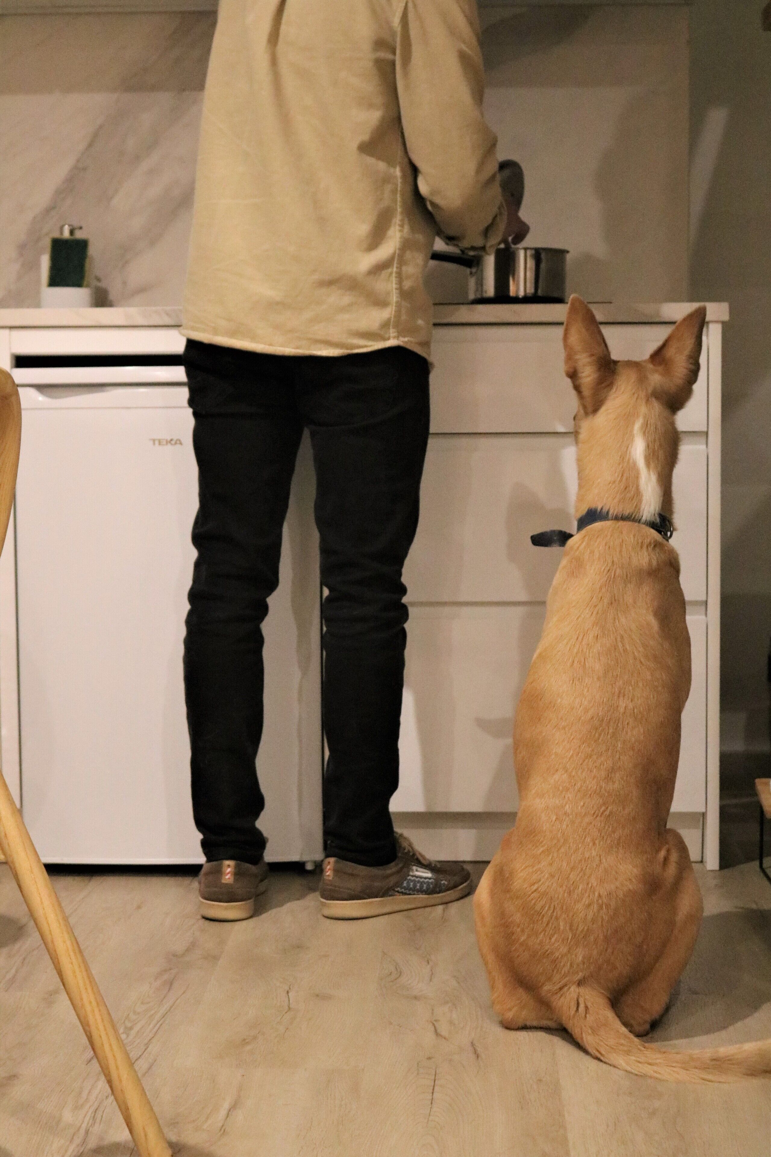 Una persona de pie frente a la encimera de la cocina, con un perro sentado en el suelo.