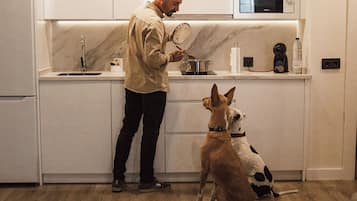 Stovetop, dishwasher, coffee/tea maker, toaster