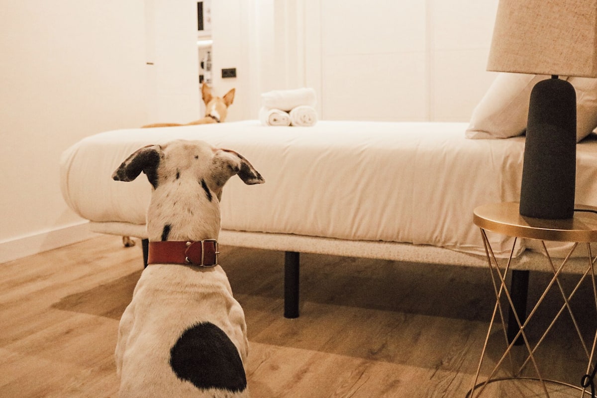 1 habitación, ropa de cama de alta calidad y edredón